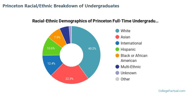 Pie chart of different races residing at Princeton