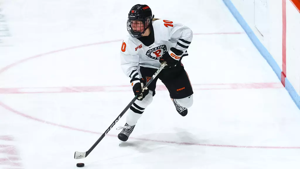 Player playing ice hockey